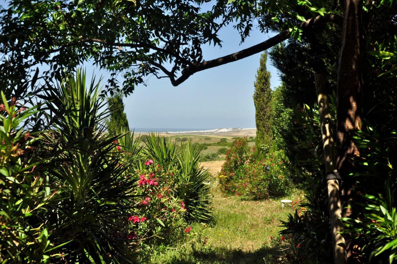 Apartment Finca Solivent Ocean View