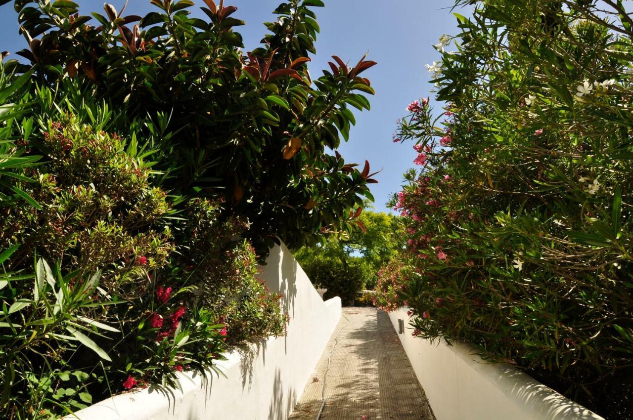 Finca Solivent Ocean View